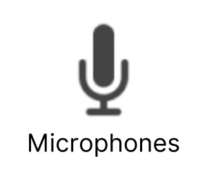 Microphone And PA