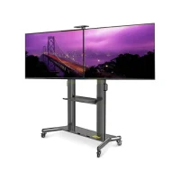 TV screen 70' + Stand